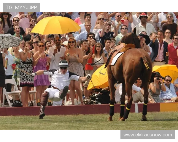 lt体育：探索最新体育赛事动态与精彩瞬间的最佳平台