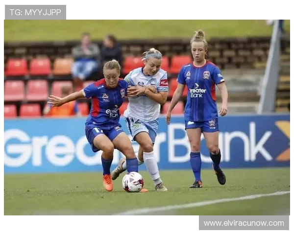 乐冠体育:推动全民健身运动普及与体育文化传播的先锋力量 乐冠体育:推动全民健身运动普及与体育文化传播的先锋力量