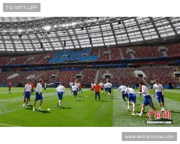 乐动体育官网入口：乐动体育官网入口助你第一时间掌握最新体育赛事动态信息