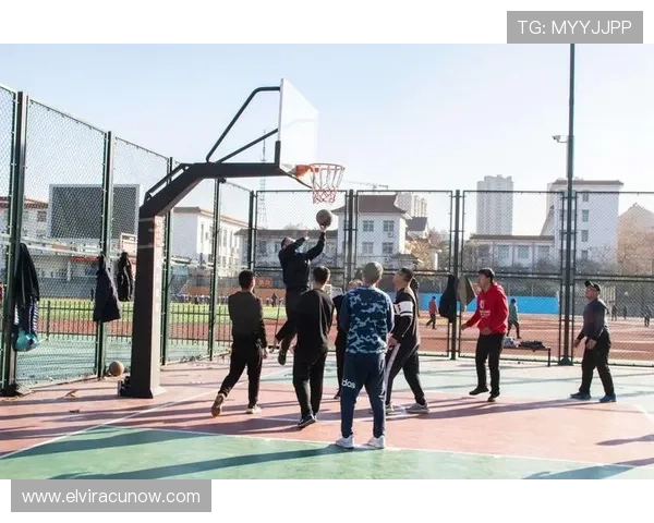 乐天体育在线：丰富的赛事资源满足不同体育爱好者的观看需求